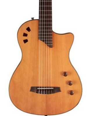 ecoustic standard natural