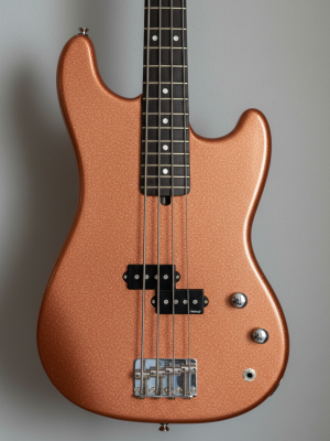 rodeo x1 blackbird (copy)