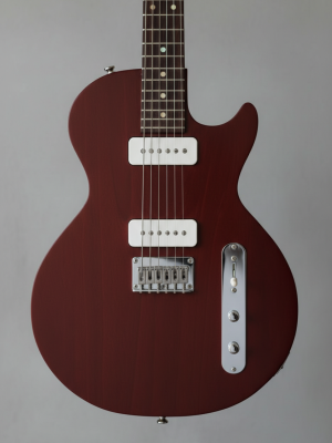 rodeo x1 blackbird (copy)