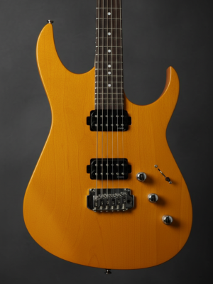 rodeo x1 blackbird (copy)