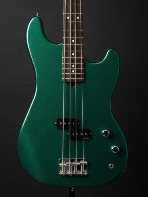 rodeo x1 blackbird (copy)