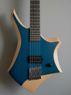 rodeo x1 blackbird (copy)