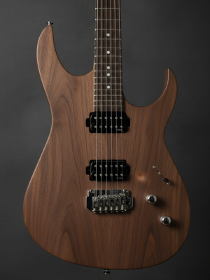 rodeo x1 blackbird (copy)