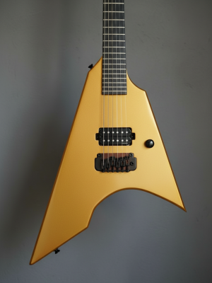 rodeo x1 blackbird (copy)